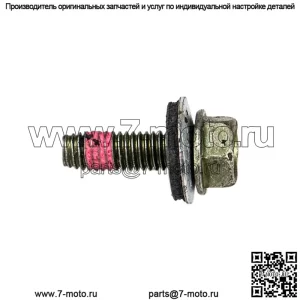 Polaris 7519278 ASM-BOLT WASHER20 MM RZR Ranger 1000 900 570 500 400 General