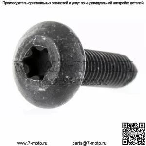 7520121 OEM Polaris Scr-tftx-m8x1.25x30 ZOD