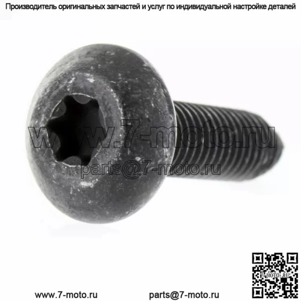 7520121 OEM Polaris Scr-tftx-m8x1.25x30 ZOD