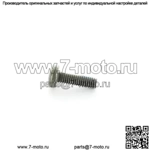 Болт Polaris ATV M6 x 1.0 x 20, оригинальная деталь OEM 7518616, кол-во 1