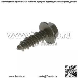 Polaris SCR-HXFL-M6X20 ZOD HI LO 7520055 OEM НОВЫЙ