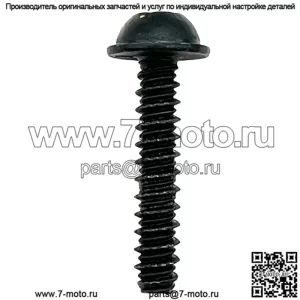 ВИНТ, ПАНЕЛЬ, #10 X 1.00 HI-LO