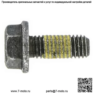 Polaris Новый OEM Scr-Hxfl-M8X1.25X20 8.8 Zod P3 7519133