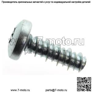 Polaris SCR-TXPH-#14X3/4 HI/LO CLR 7519290 OEM НОВЫЙ