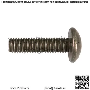 Polaris 7518953 Оригинальный OEM 8x1.25x30 8.8 TR TX ZOD Винт 2009-2024 Ranger General 900