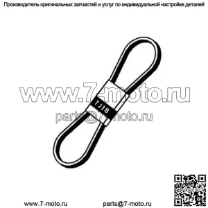 3019-2880 - Ремень