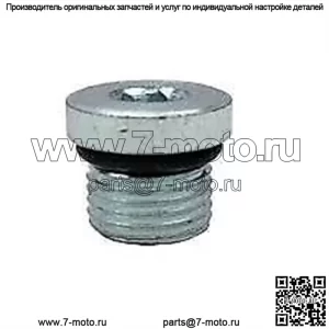 СЛИВНАЯ ПРОБКА POLARIS, номер детали 2203738