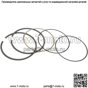 Кольца поршневые Polaris Sportsman Ranger 800 2202920
