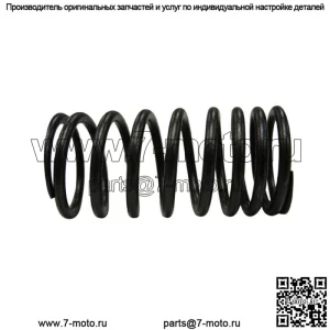 S.40501 Пружина клапана - внутренняя подходит Landini
